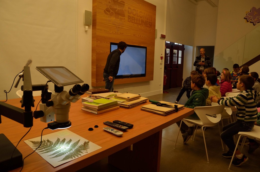 Museo Naturalistico di Belluno: scoprendo gli antichi erbari